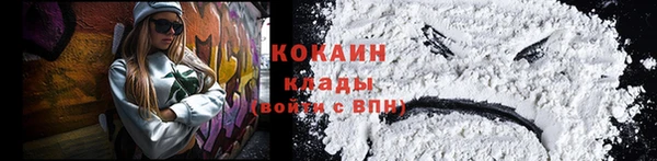 мдпв Краснослободск