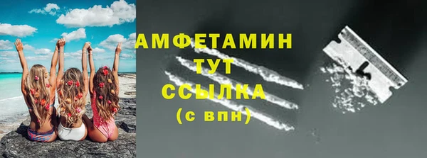 мдпв Краснослободск