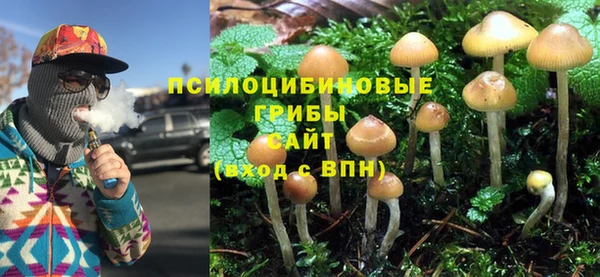 мдпв Краснослободск