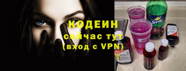 мдпв Краснослободск