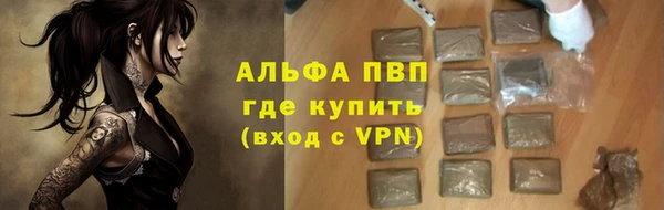 мдпв Краснослободск