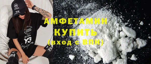 мдпв Краснослободск