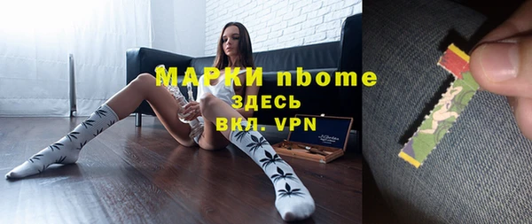 мдпв Краснослободск